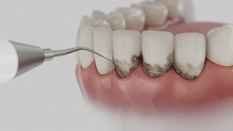 Reliable Dental contractor in Cedar Creek, TX by Dentist Open Now